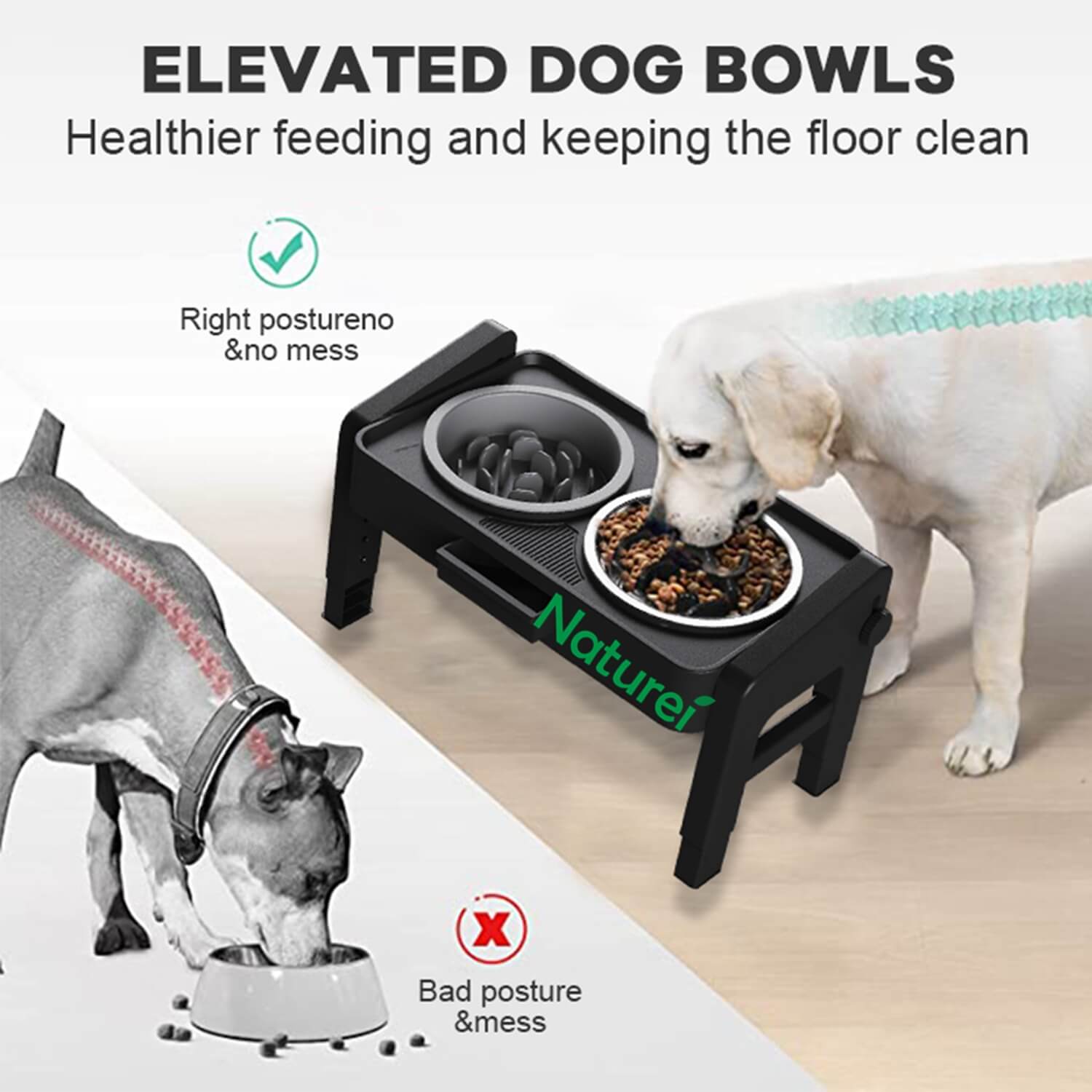 elevated dog bowls for large dogs