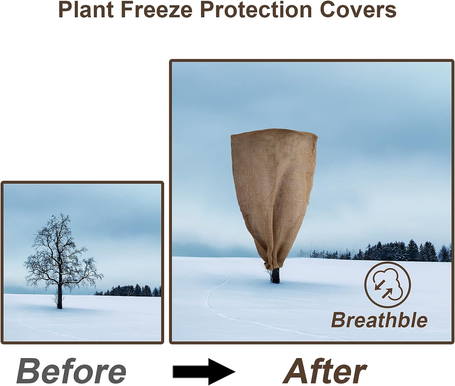 cover plants for winter