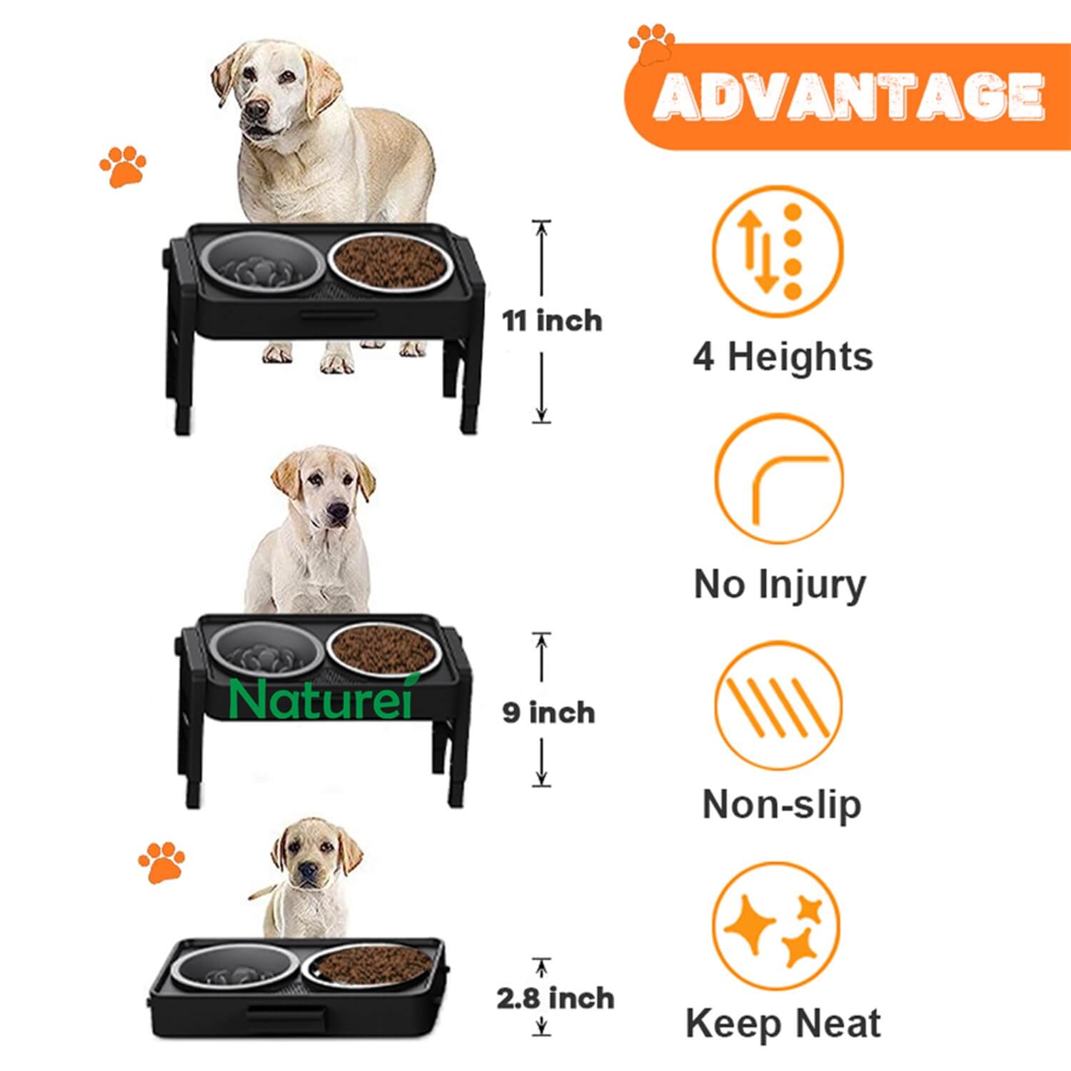 elevated dog bowls large breed