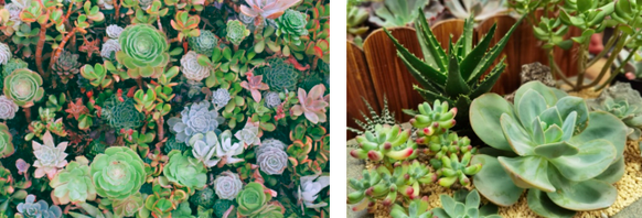 屏幕快照 2022-04-15 09.44.22