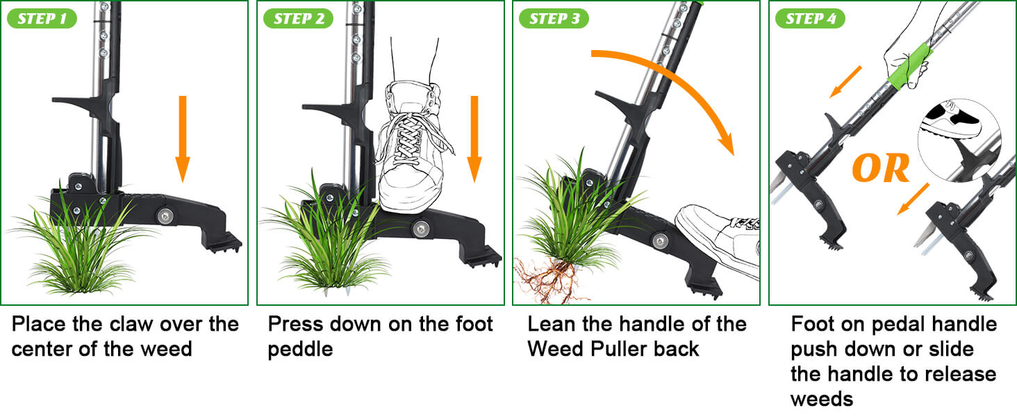 stand up weed puller