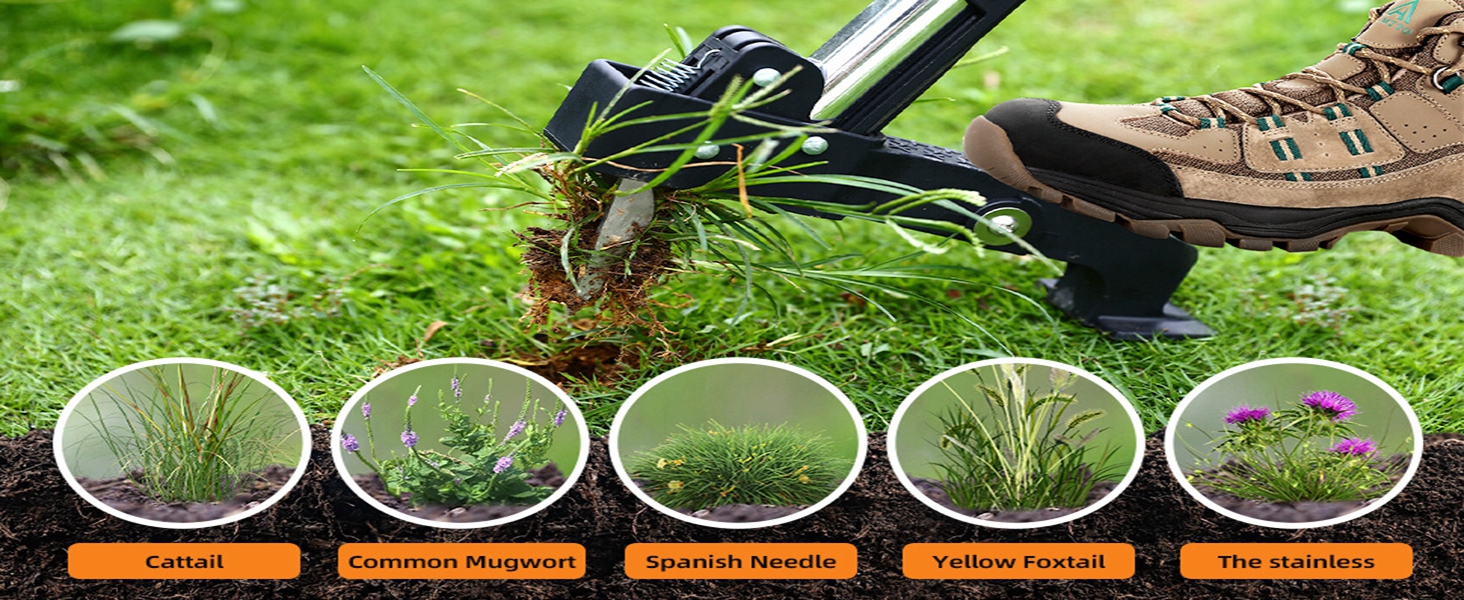 weed removal tool
