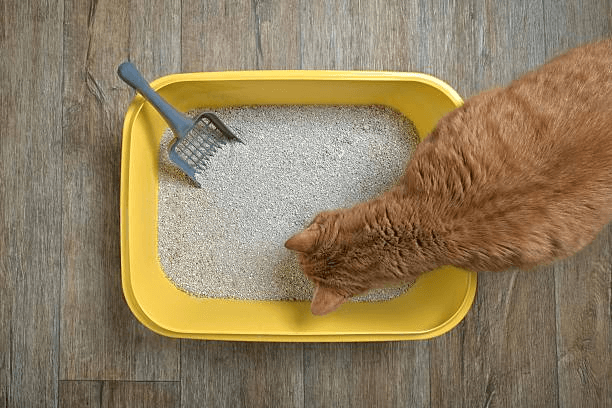 EVA cat litter mat.png
