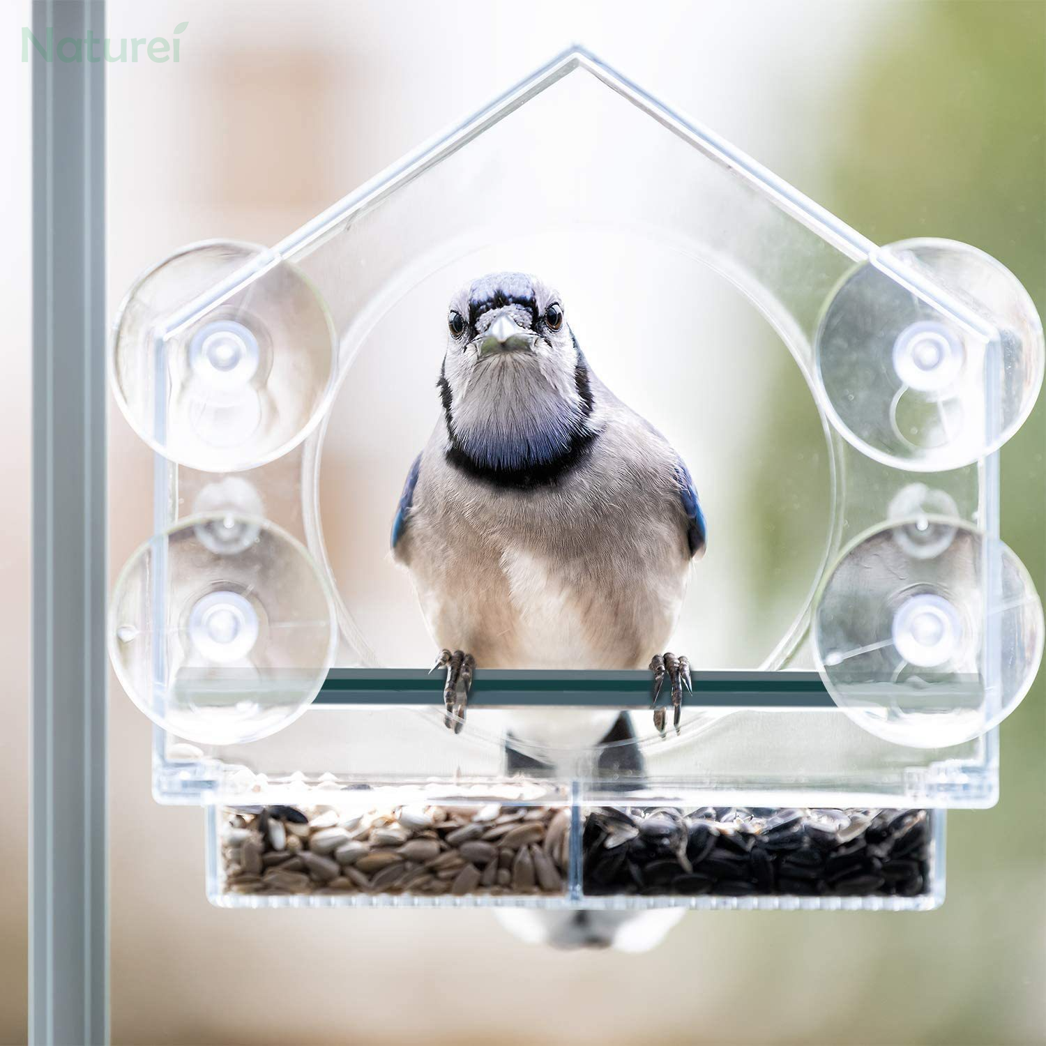Window Bird Feeder